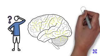 Brain Health Series - What are Cognitive Functions?