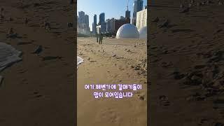 맨발로 '모래해변걷기' 142일차 / 142nd day of sand beach walk #shorts