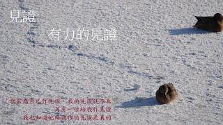 靈修:見證-有力的見證 202505531
