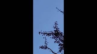 UFO over Wichita - Kansas - USA - June 2019