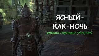 Ясный как Ночь, спутник хранитель, глава Некром / Sharp as Night companion ESO Necrom