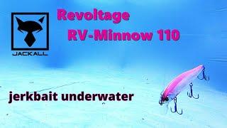 Jackall Rv Minnow 110, Jerkbait techniques underwater review