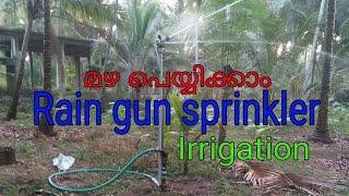 Rain gun sprinkler irrigation | നന രീതി