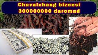 BIOGOMUS. 300 mln daromad. Chuvalchang biznesi haqida. #Humanuz