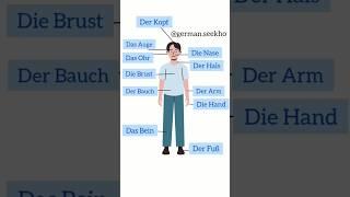 Body parts in German  #deutsch #german #education #short  #shorts  #learn #instagram #shortsvideo