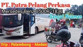 Naik bus Putra Pelangi Perkasa dari Jambi-Pekanbaru || sangat nyaman #busputrapelangi #kotajambi