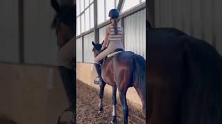 Тг:Dasha forever|коноблог #equestriansports #horse #конныйспорт #лошади #equestrian #конкур #реки