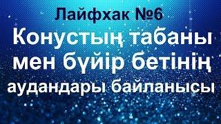 Лайфхак №6 // Конустың бүйір беті мен табанының аудандарының арасындағы байланыс // Математика