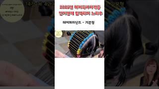 헤어퍼머넌트 기본형  2025년 헤어국가자격증 단 기간에 합격하기 노하우    #헤어국가자격증 #헤어미용 #헤어퍼머넌트 #기본형퍼머넌트 #레이어드컷  #레이어커트