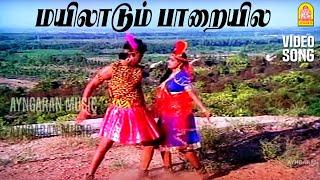 Mayilaadum - Video Song | மயிலாடும் பாறையில | Paandi Nattu Thangam | Karthik | Nirosha | Ilaiyaraaja