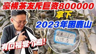 豪横茶友斥巨资80万，拿下2023年困鹿山！老高有口福尝个遍！购茶请加微信/赖line2号店：HDLG002（同号，搜索）#普洱茶 #茶文化 #普洱茶要怎么泡 #古树茶#茶#茶叶#茶葉#古樹茶