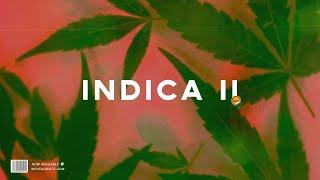 Dancehall Riddim Instrumental 2021 ~ "Indica II"