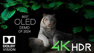 4K OLED TV TEST 2024 | Dolby Vision | 60FPS HDR Demo