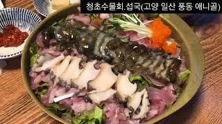 맛집# 고양 일산# 청초수물회.섭국(풍동 애니골)