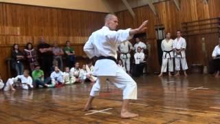 Кузьменко Анатолий. Нидзюшихо. Чемпионат Украины по традиционному каратэ. 2015.