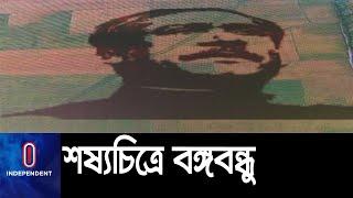 ৩৫ একর জমিতে ফুটে উঠছে বঙ্গবন্ধুর মুখাবয়ব ||#Bangobandhu