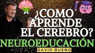  ¿COMO APRENDE EL CERBERO ? NEUROEDUCACIÓN- NEUROCIENCIA Dr DAVID BUENO - VERSIÓN COMPLETA