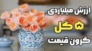 گرانترین گل های جهان | گل ها میلیارد دلاری که فقط عاشقان ثروتمند برای پارتنرشون میخرن