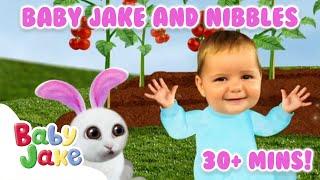 @BabyJakeofficial -  Adventures with Nibbles and Baby Jake 🩵 | Full Episodes | Yacki Yacki Yoggi