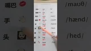 766 身体器官英语#英语 #零基础学英语 #教育 #英语学习