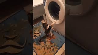 Надзор по качеству стирки