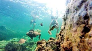 Summer end dellys algeria swimmingpool