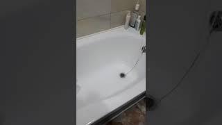 Василёк мочит)