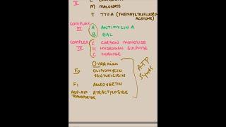 Easy way to remember ALL INHIBITORS of Glucose metabolism! GLYCOLYSIS, TCA and ETC.