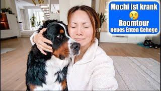 Mochi ist krank  Roomtour Enten Gehege Einrichtung  Countdown Auswilderung! Zoo VLOG Mamiseelen