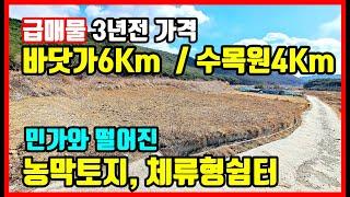 시골땅 급매물 포항토지매매 포항땅매매 포항부동산 촌땅 시골땅매매  민가와 떨어진 농막토지 체류형쉼터 주말농장 전원생활지로 추천 #착한부동산