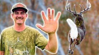 5 Deer Hunting Tips I Wish I Knew Sooner