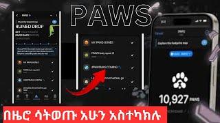 Paws ላይ ይሄንን አሁኑኑ አስተካክሉ በዜሮ ሳትወጡ በፊት | Telegram | Make money online in ethiopia