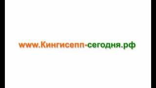 Каталог организаций на КИНГИСЕПП-СЕГОДНЯ.РФ