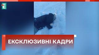 ️ МЕРТВЫЙ КИВА НА СНЕГЕ  В Сети появились кадры с места ликвидации Ильи Кивы