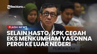 Tak Selesai dengan Hasto Sekjen PDIP, KPK Turut Cegah Eks Menkumham Yasonna Laoly ke Luar Negeri