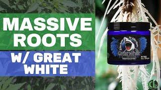 Great White Mycorrhizae Review + How to Use