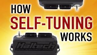  How Self Tuning Works: Short Term vs Long Term Fuel Trim | TECHNICALLY SPEAKING