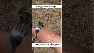 Hiking Fail from Tiktok #shortsvideo #tiktok