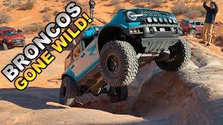 BRONCOS GONE WILD! A Wild & Crazy Bronco Trail Ride!