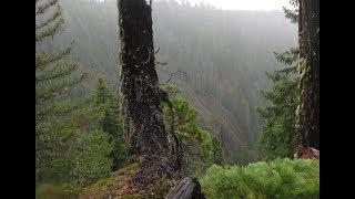 Missing Man Taken By Bigfoot In Oregon! - Pacwest Bigfoot