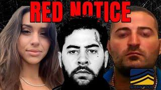 Red Notice - Die Meistgesuchtesten Gangster Europas