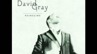 a new day at midnight - david gray