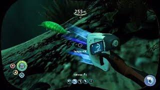Rare Discovery - Smallest Creature in Subnautica