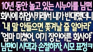 (반전 사연) 10년 동안 놀고 있는 시누이를 남편 회사에 취업시키래서 내가 반대했더니 “내 말 안들으면 쫓겨날 줄 알아라” 남편이 시댁과 손절하자, 시모 표정ㅋ /사이다사연
