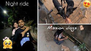 mission dogs  ll bohut dinor murot taik log palu - vlogger raz