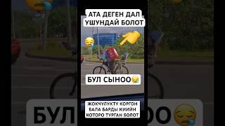 БААРЫ ЖАКШЫ БОЛОТ️ #тикток #тиктокнутая #дуэт #моялошадь #той #лошадки #прикол #тренд #horse