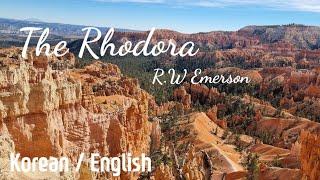 [#번역외국시] #R.W.Emerson #TheRhodora #KoreanEnglishPoem