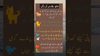 #Unique information with urdu quote #aqwale zareen and legend lifestyle #about health malomat #shor#