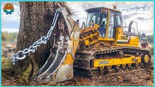 620 Most Powerful Big Tree Harvester Working