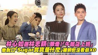 林心如邀林志穎《華燈》「牛郎店上班」　他脫口「Sugar寶寶是什麼」被抓包沒看劇XD